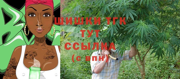 прущие грибы Шарыпово