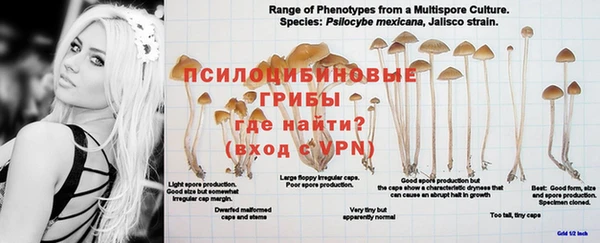 прущие крисы Карталы
