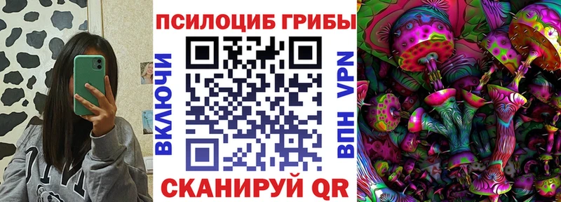 shop телеграм  Калачинск  Псилоцибиновые грибы Magic Shrooms 